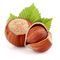 Hazelnut 10ml